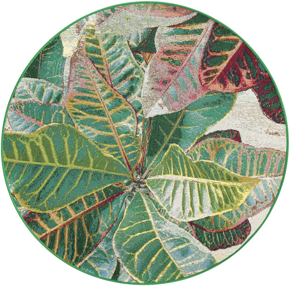 Outdoor Botanical